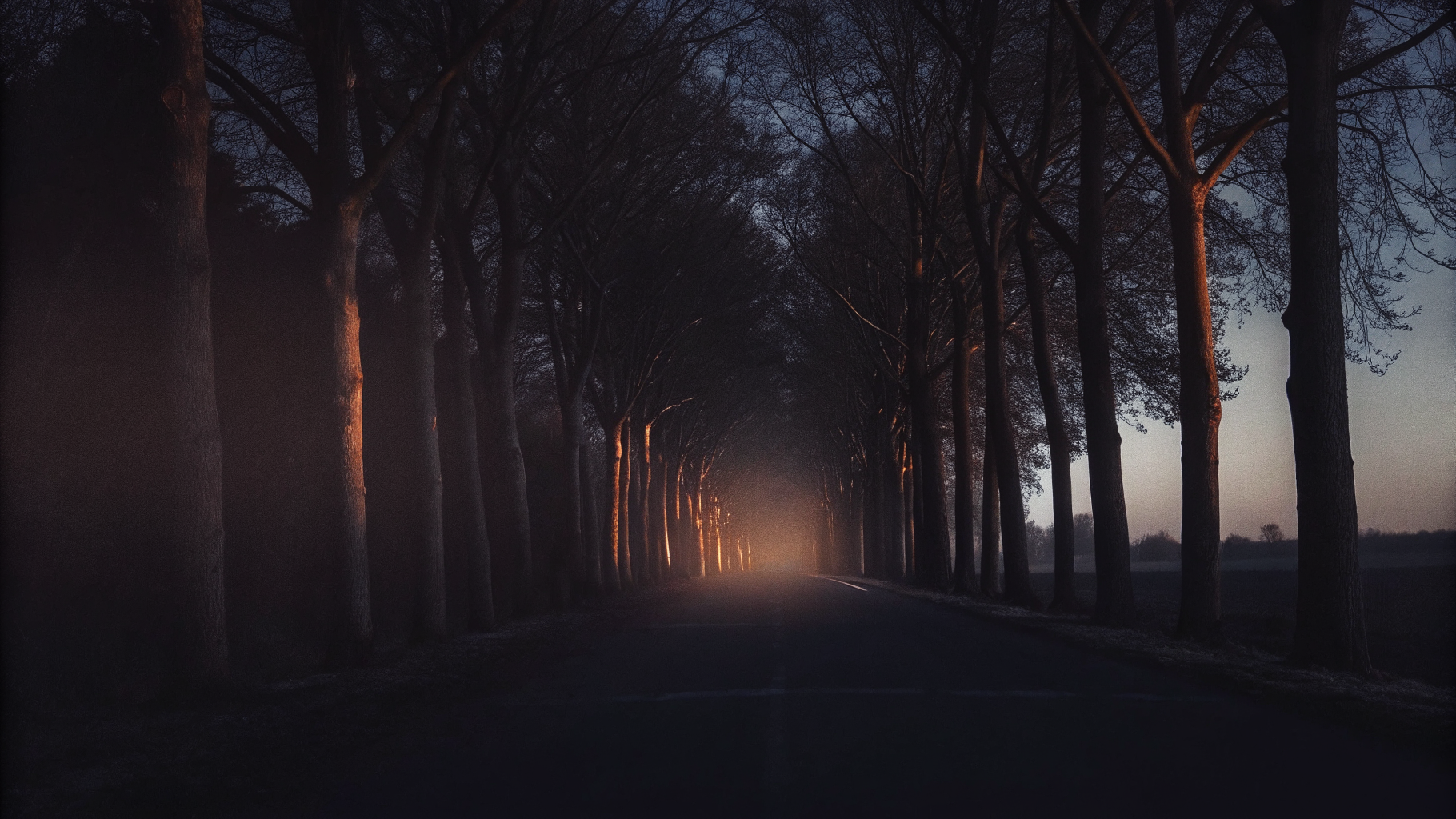 Editorial photograph of a long path receding into warm distance