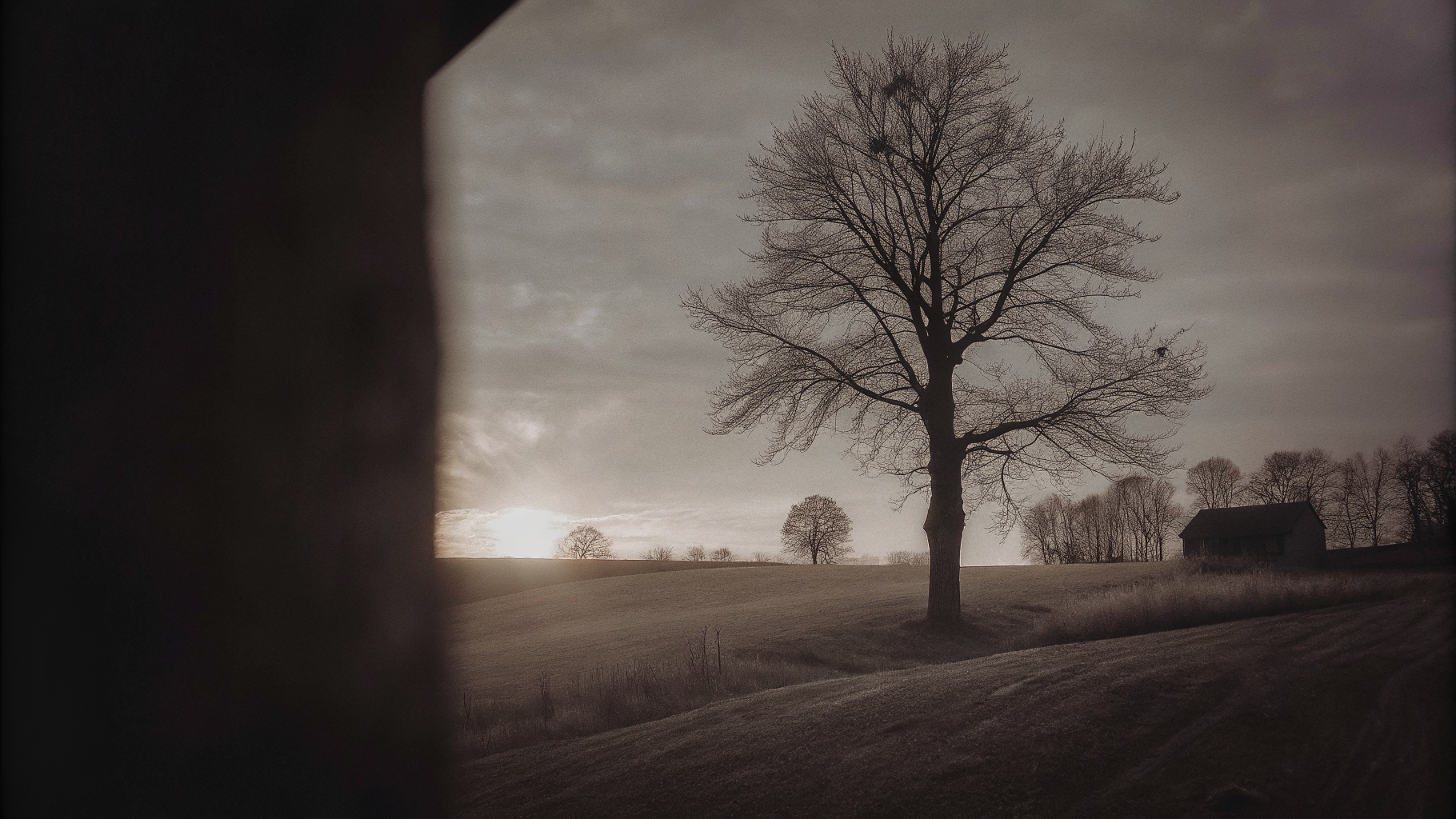 Editorial photograph of a horizon slowly brightening over open terrain